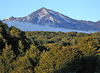 splendeurs des antipodes