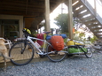 Vente vélo-rémorque