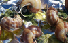 urban escargot