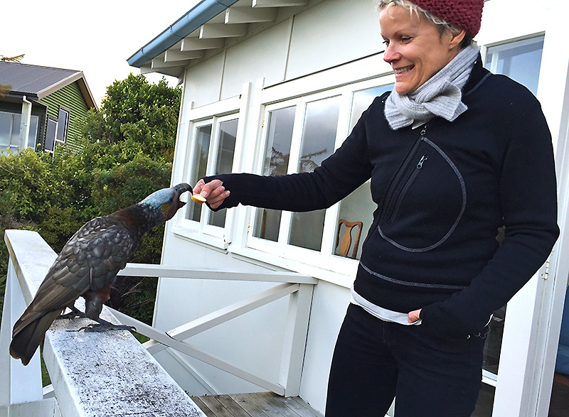 Oiseau de Stewart Island