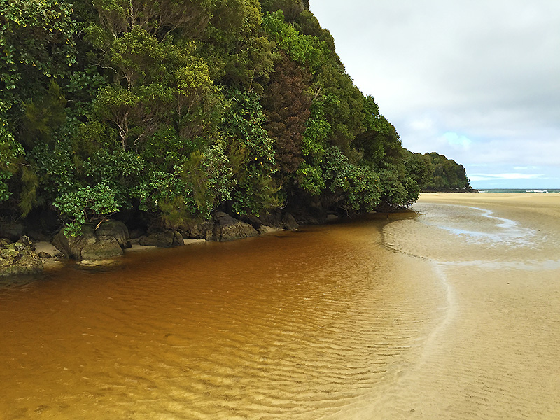 Baies de Stewart Island