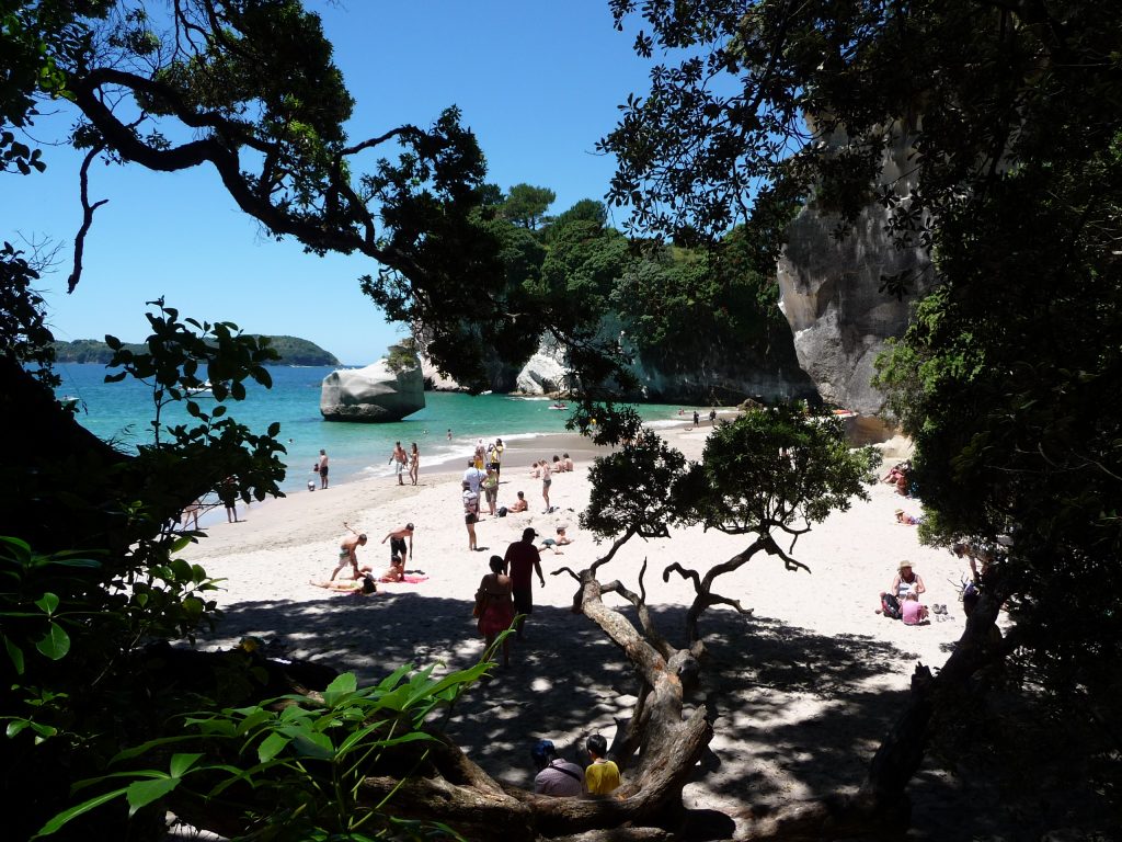 cathedrale cove coromandel ile du nord plage