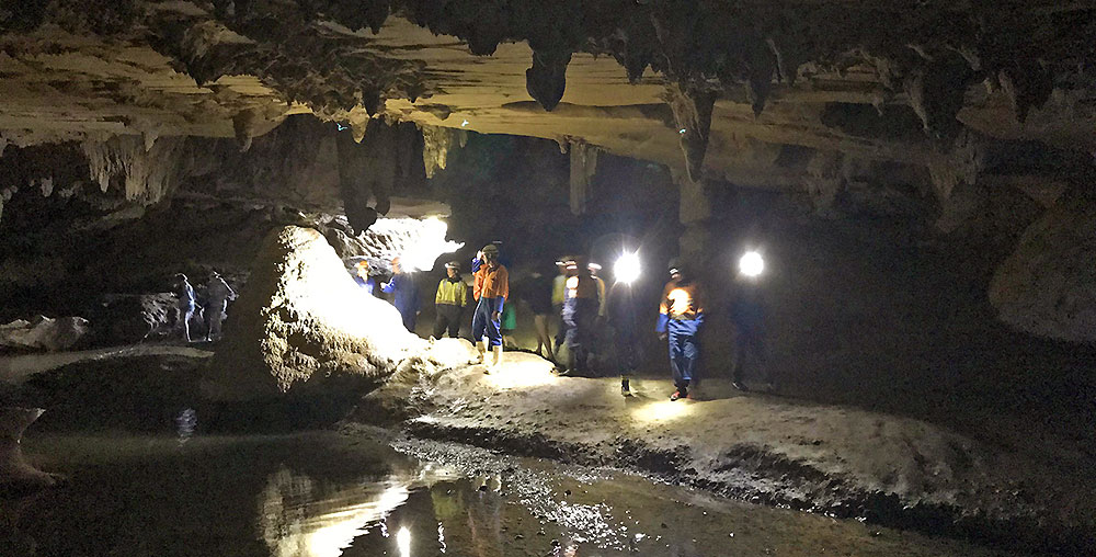 Grotte de Waipu Cove 