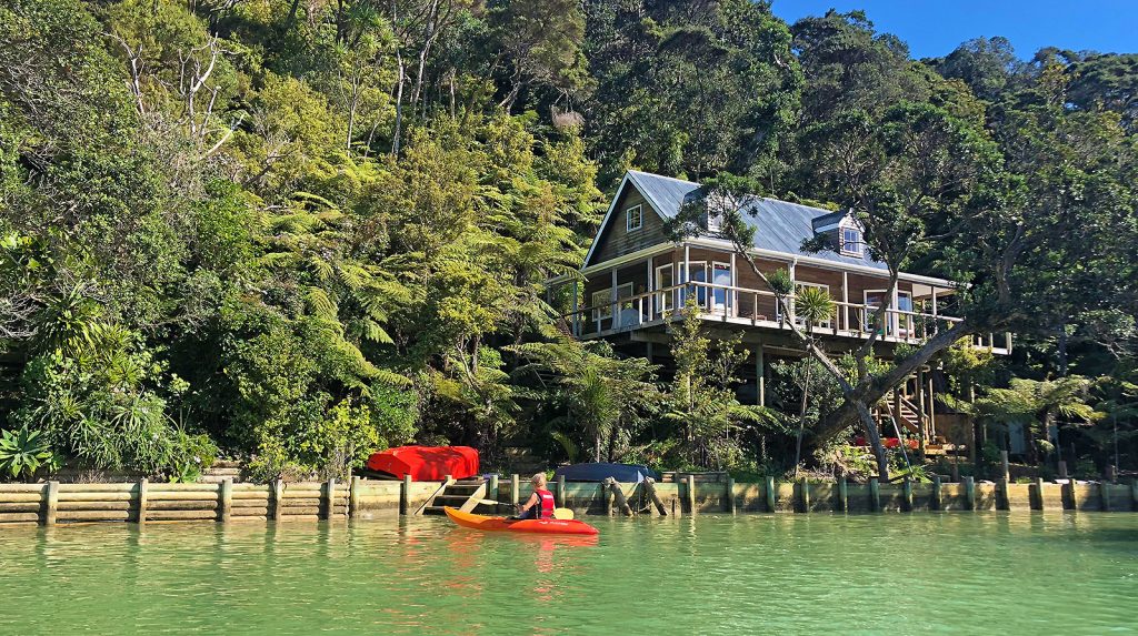Kawau Island avec Frogs