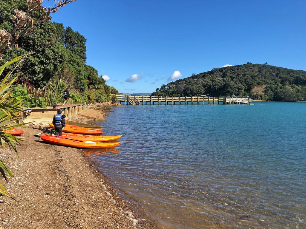 Kayak sur Kawau Island