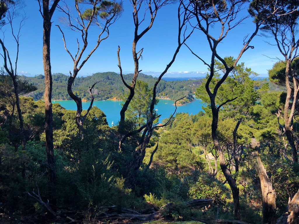 Vue des crètes Kawau Island