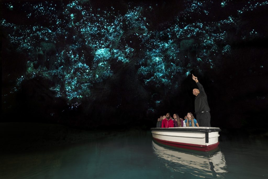 4_Waitomo_Glowworm_Caves_Waikato