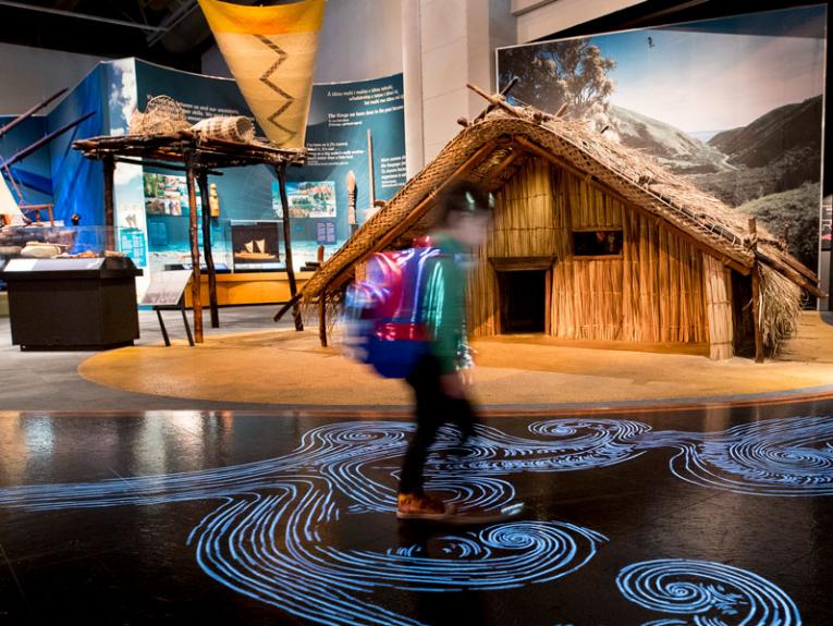 Te papa Wellington