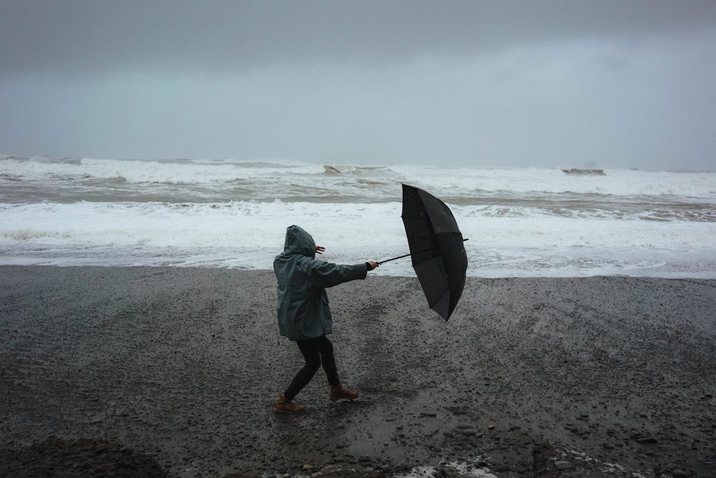 Sous la pluie en Nouvelle-Zélande ©Dziana Hasanbekava