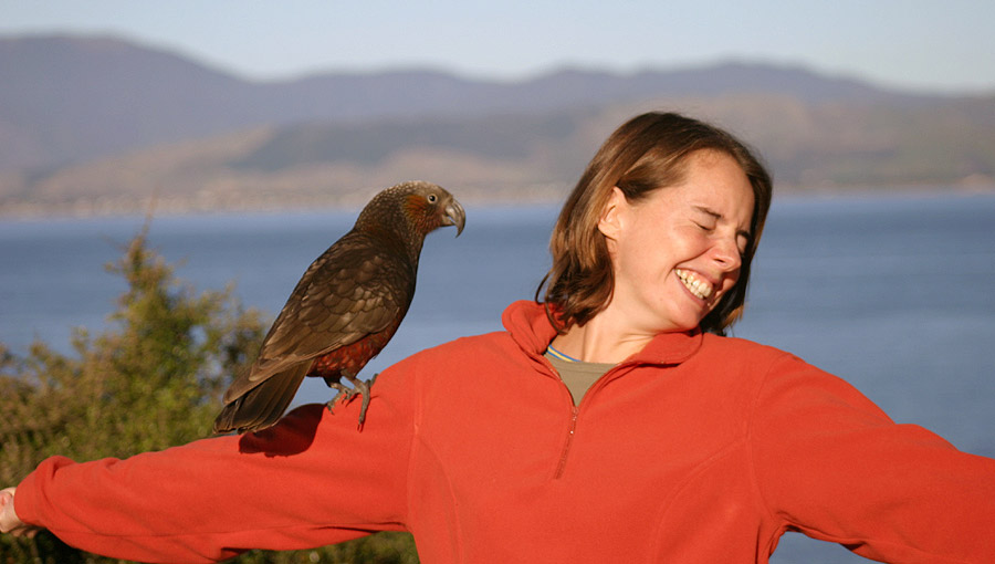Oiseaux en Nouvelle-Zélande