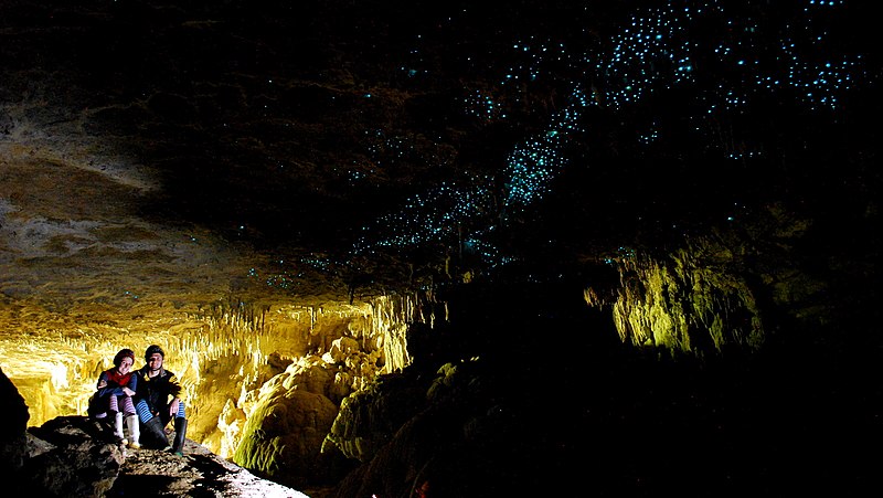 Grotte vers luisants nouvelle-zélande