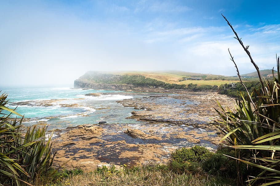 Plage de Curio bay  ile du sud nouvelle zelande belle plage 
