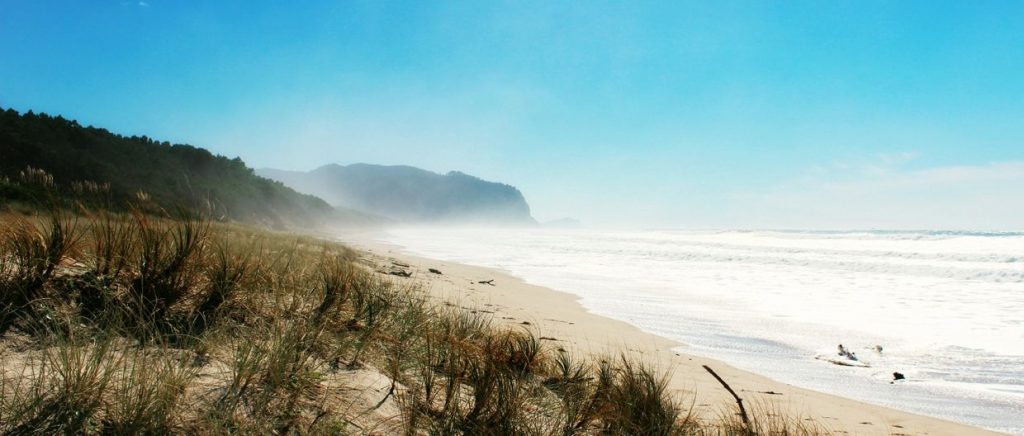 Plage d'Opoutere coromandel nouvelle zelande 
