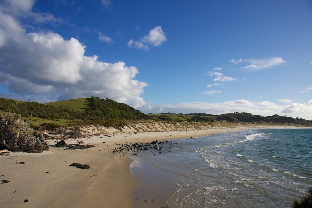 Tawharanui Auckland  northland île du nord belle plage 