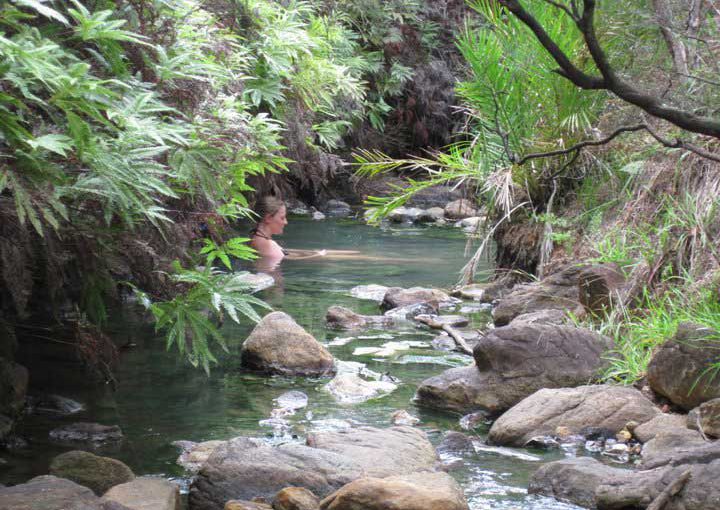 great barrier island ile du nord hot springs kaitoke