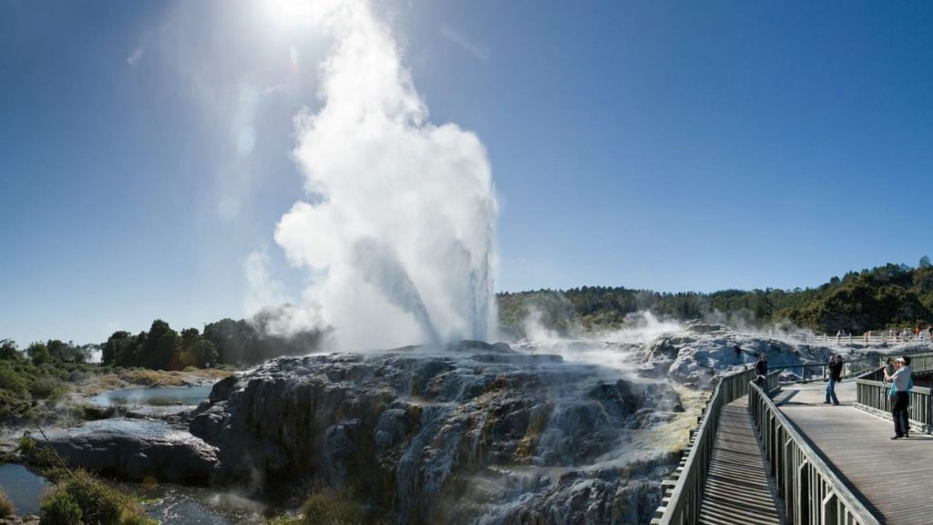 Geyser à Te Puia