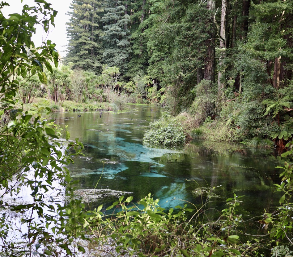 rotorua, lake whakarewarewa forest Hamurana springs tarawera volcan burried village