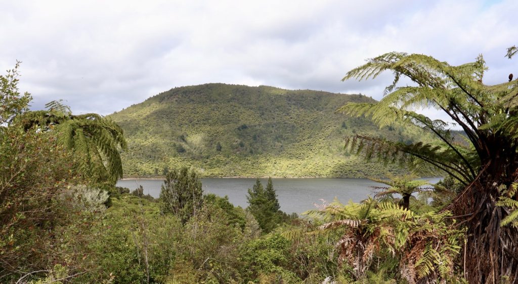 rotorua, lake whakarewarewa forest Hamurana springs tarawera volcan burried village
