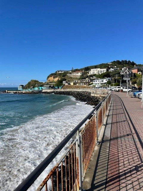 Promenade à Saint Clair Dunedin
