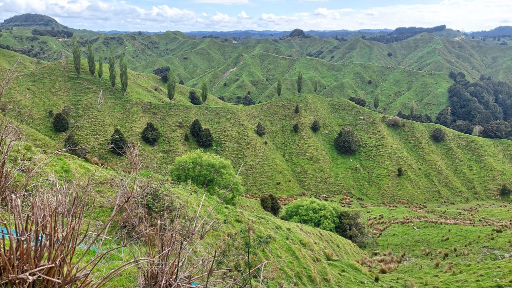 forgotten Highway whangamomona taranaki balade
