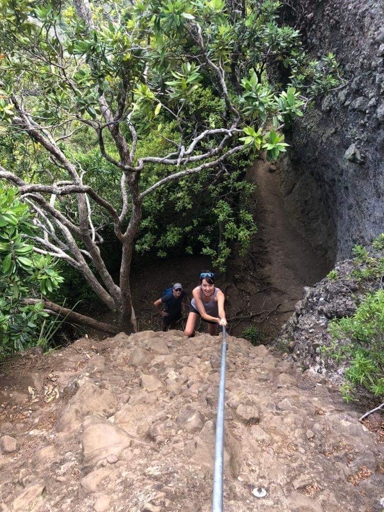 Whangaroa harbour randonee lane cove duke's Nose
