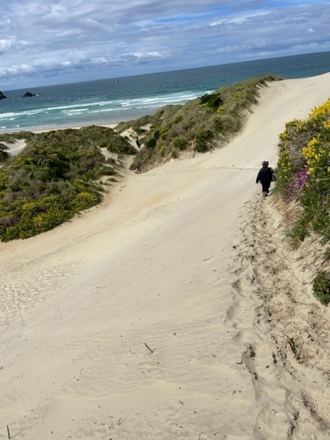 Sandy Bay Otago