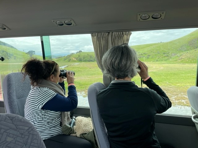 Bus tour voir faune Otago