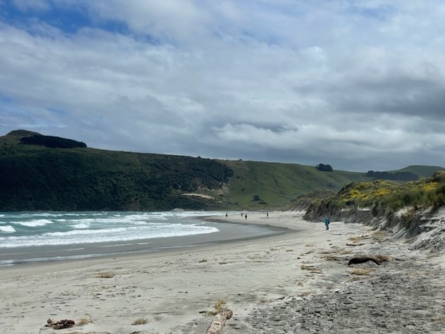 Allans Beach Otago Peninsula