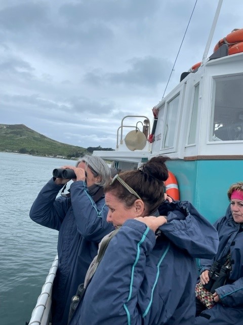 Croisière Otago Peninsula