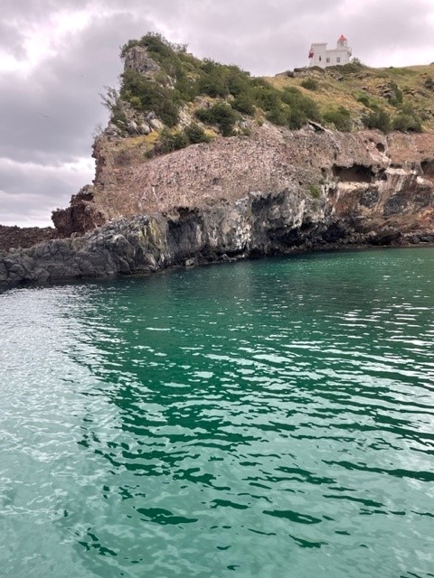 falaises croisière Otago Peninsula