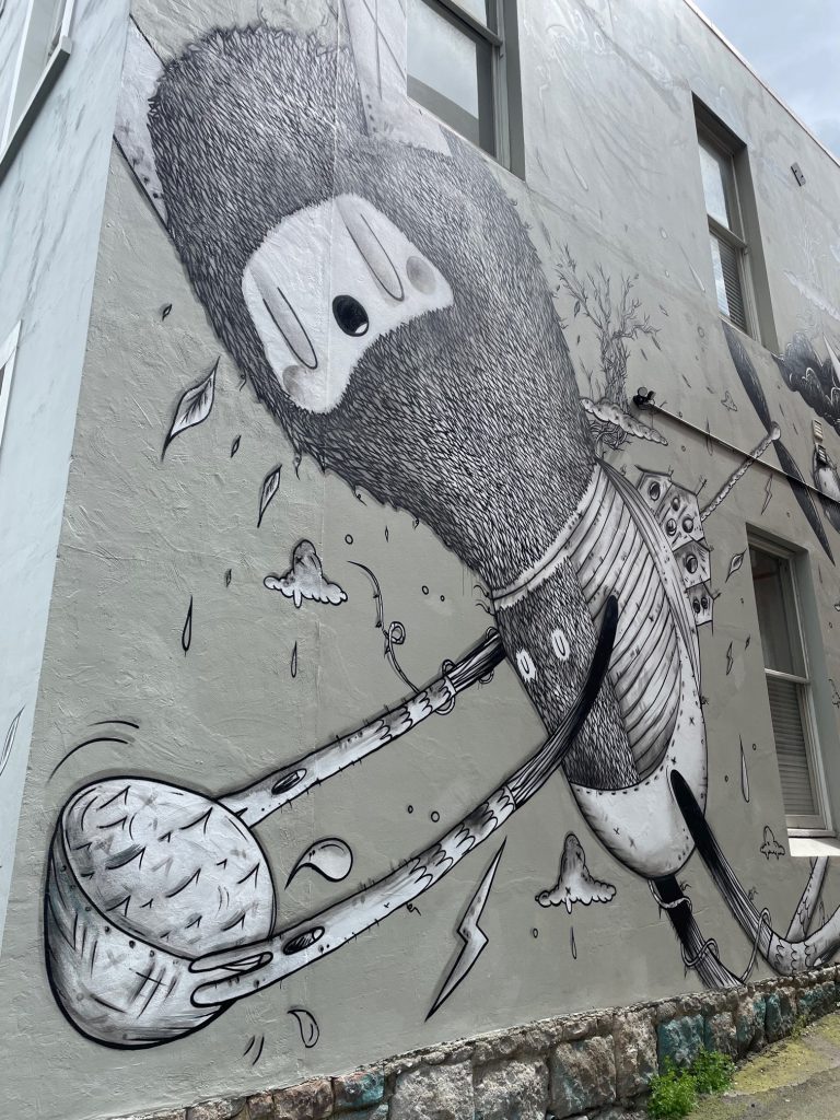 Peinture murale à Dunedin