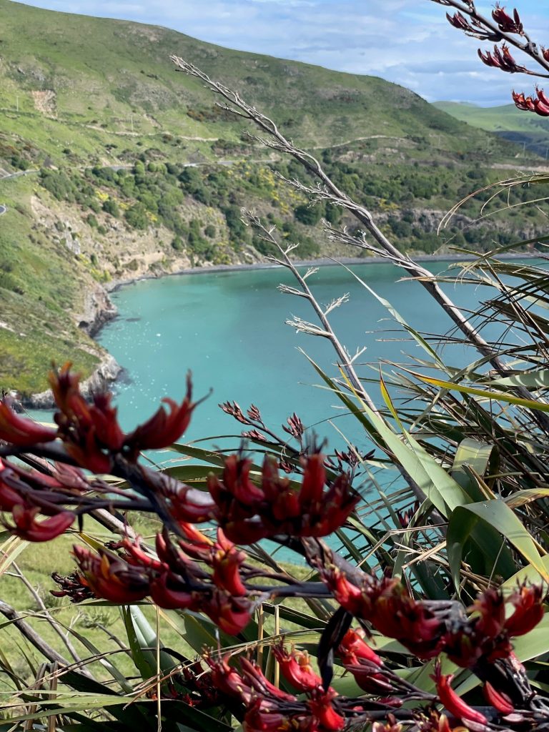 Route sur Péninsule d'otago