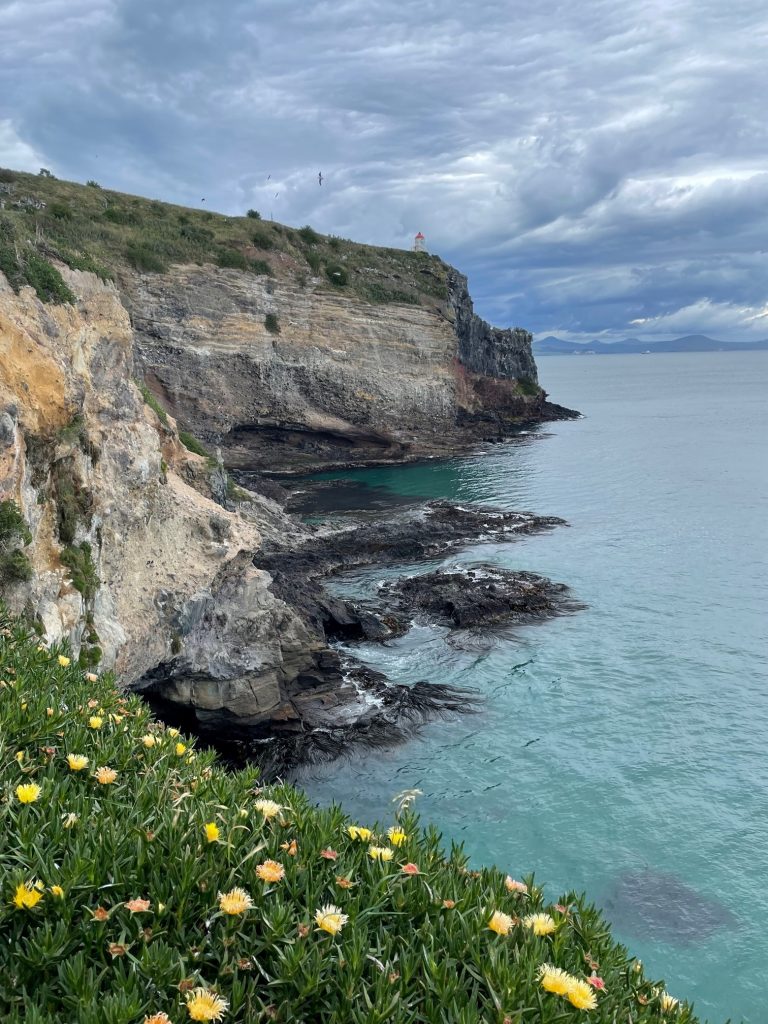 falaises péninsule otago