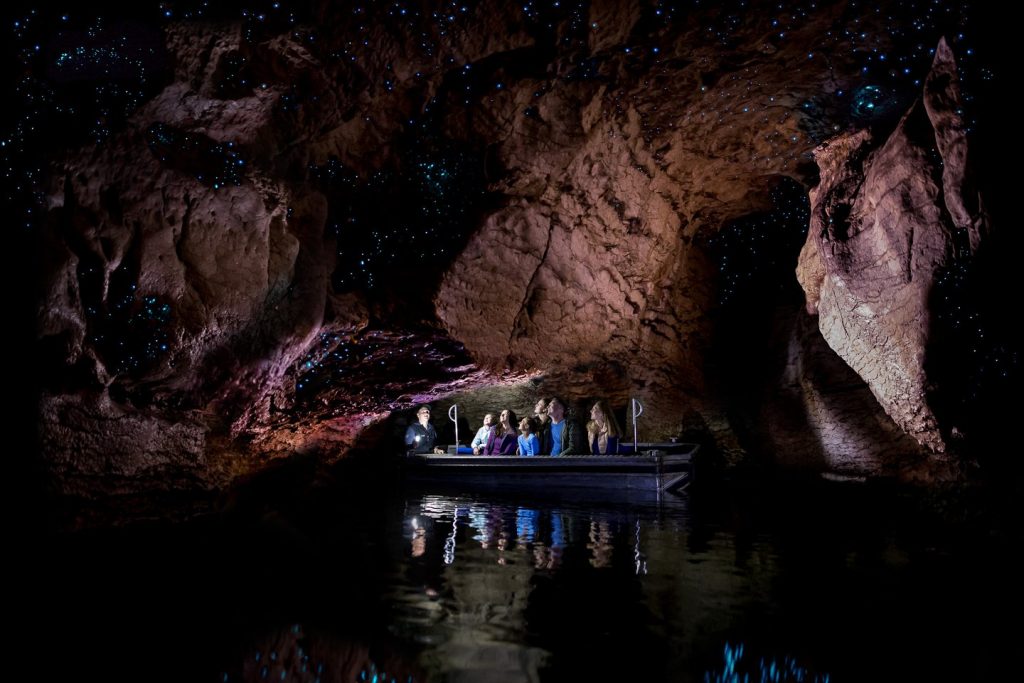 glow worm cave grotte te anau vers luisants 