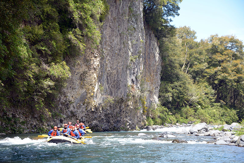 turangi rafting blue duck