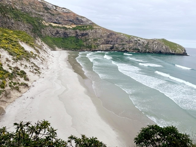 Plage sauvage péninsule Otago