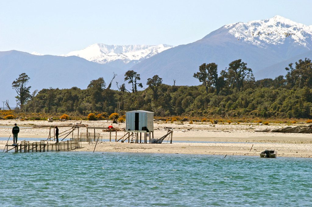 La cote ouest sauvage de nouvelle zelande