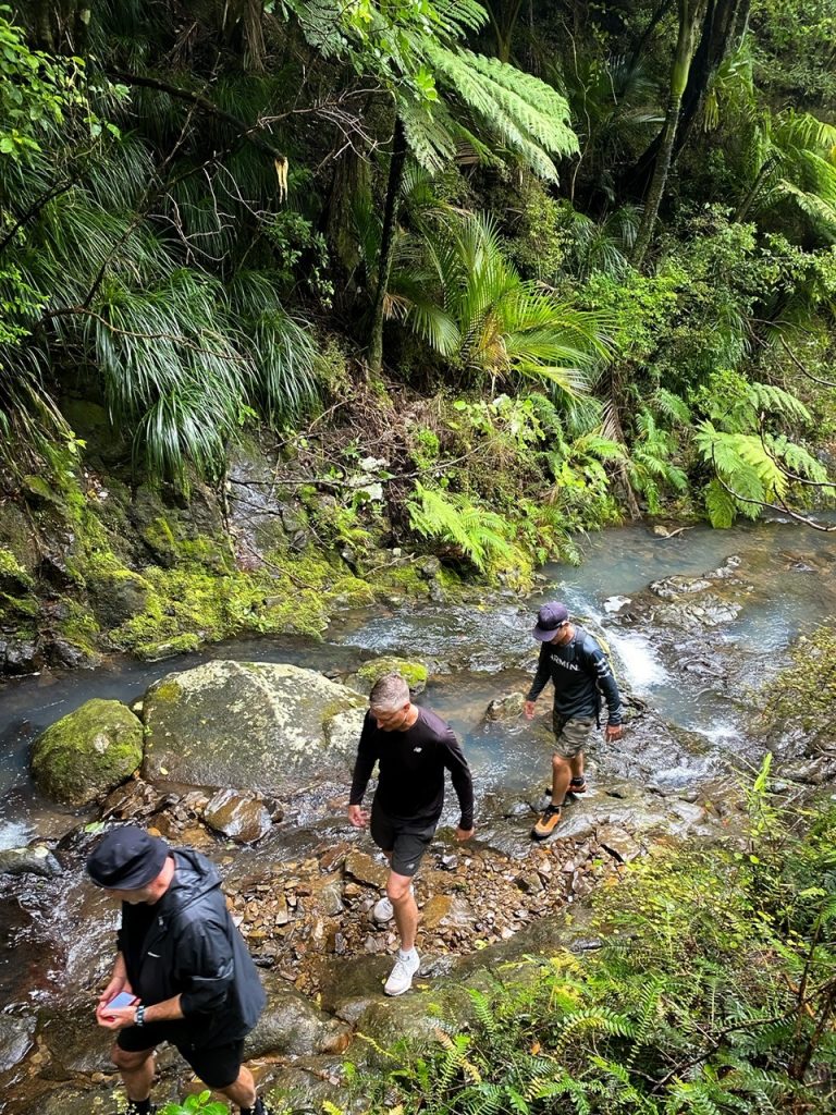 rivière great barrier island warren's and bridle track