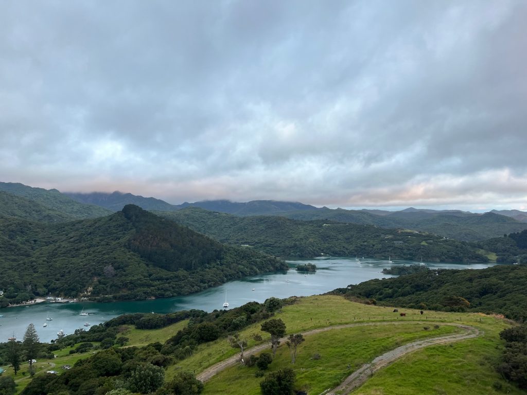 Glenfern loop great barrier island