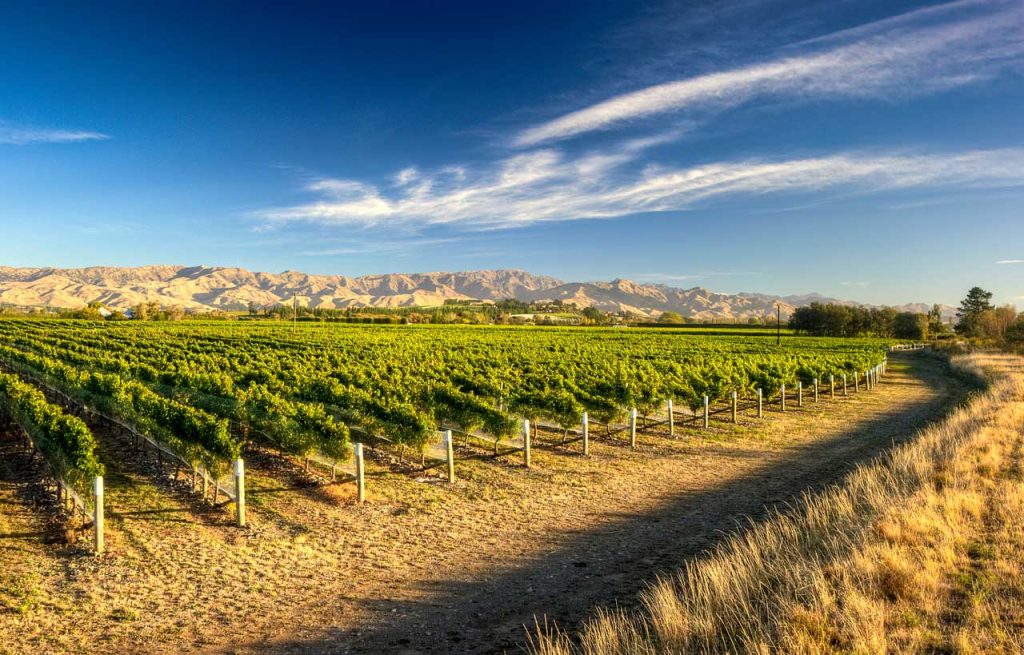 Geisen Wines Marlborough