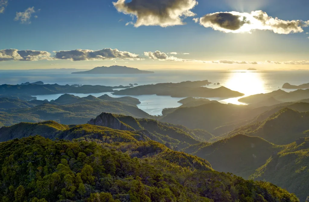 Mt Hobson great barrier vue