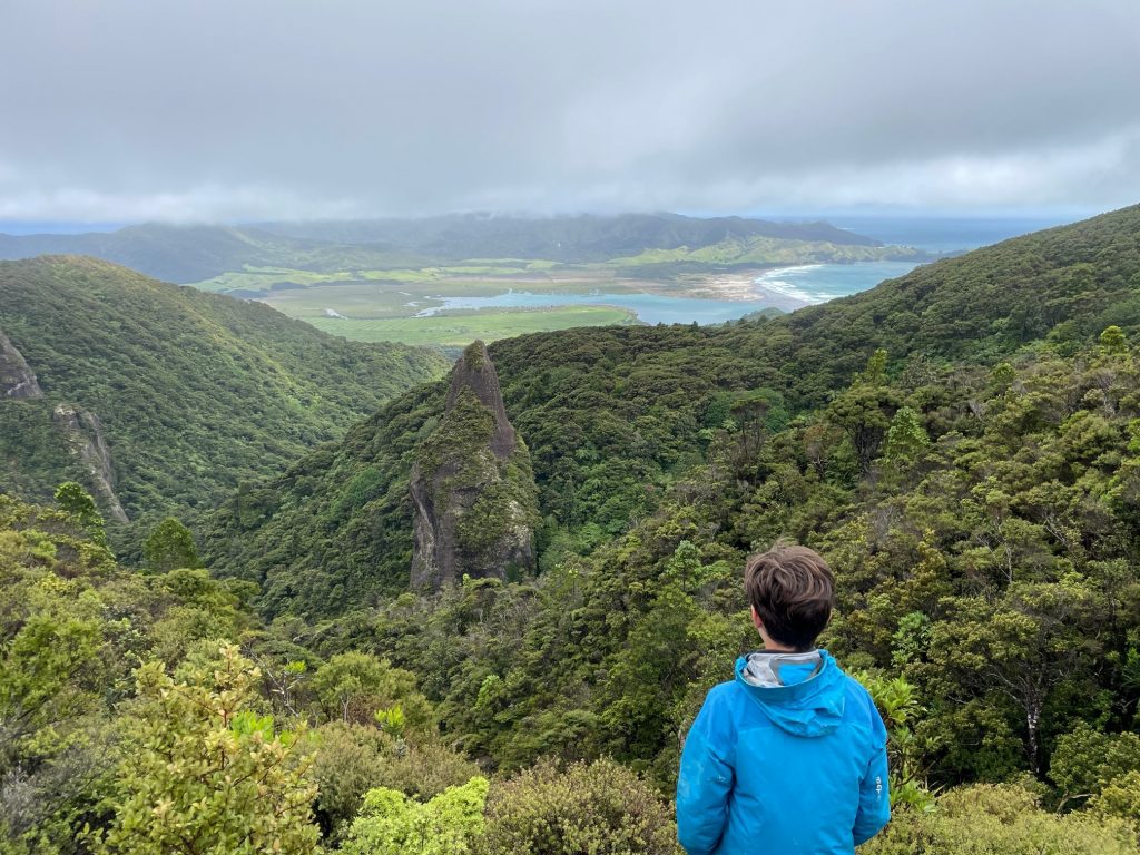 palmer's track great barrier point de vue