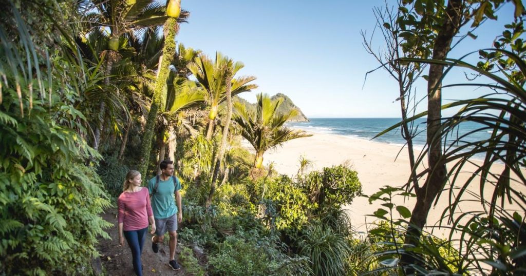Great walk -  randonnee nouvelle-zelande - Heaphy track - golden bay - cote ouest - west coast 