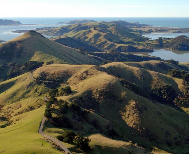 Volcan Nouvelle zelande peninsule otago Mount Cargill