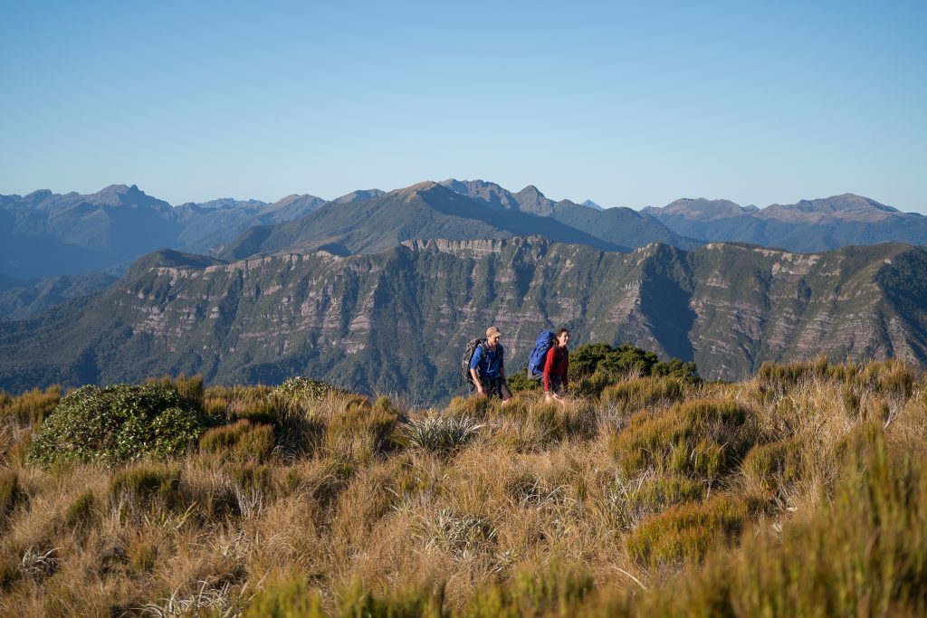 Great walk -  randonnee nouvelle-zelande - paparoa track -  cote ouest - ile du sud