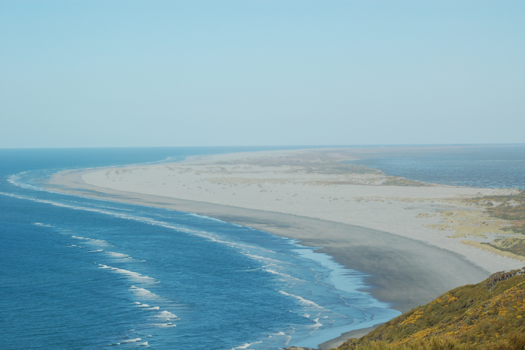 farewell spit tour guide oiseaux nouvelle-zelande dune de sable ocean