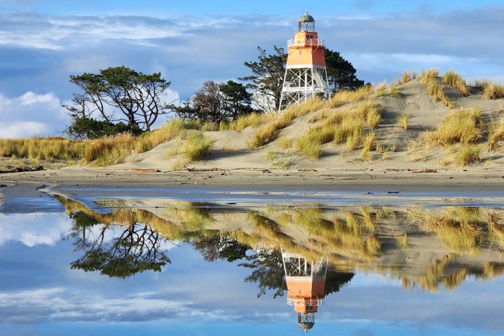 farewell spit tour guide oiseaux nouvelle-zelande phare