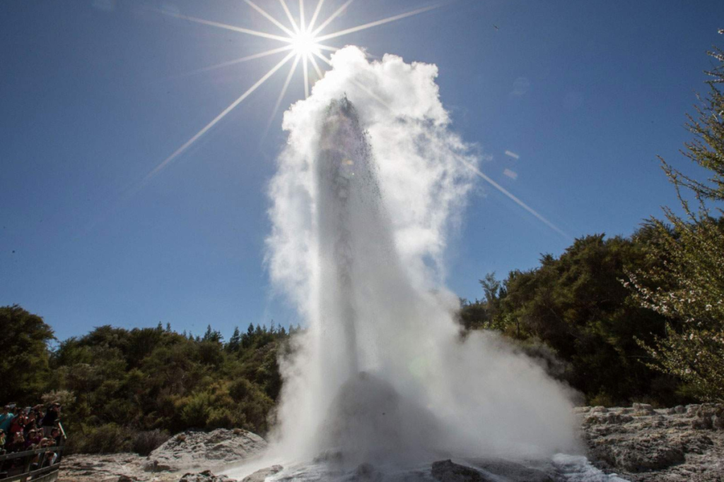 geyser wai o tapu nouvelle zelande lady Knox