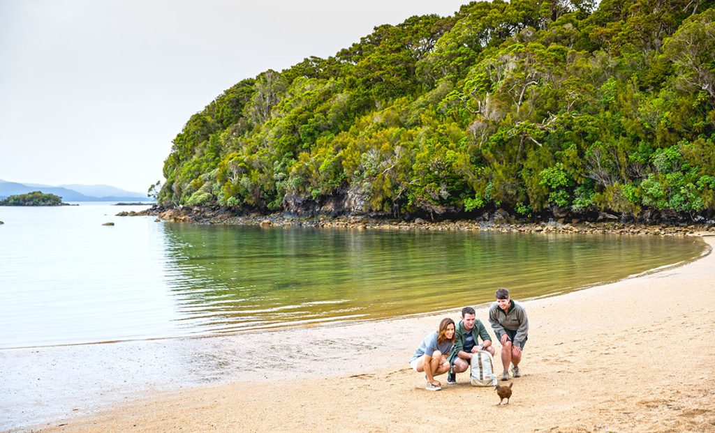 Parc national de Rakiura photo Miles Holden
