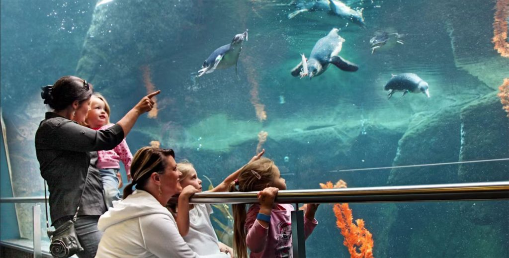 Antarctic centre de Christchurch avec enfants